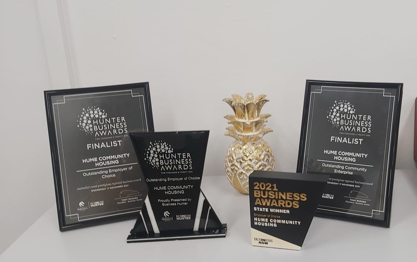 Two plaques from the Hunter Business Awards, a trophy from the Hunter Business Awards, a trophy from the NSW Business Awards, and a pineapple-shaped trophy from the Hunter Diversity and Inclusion Awards.